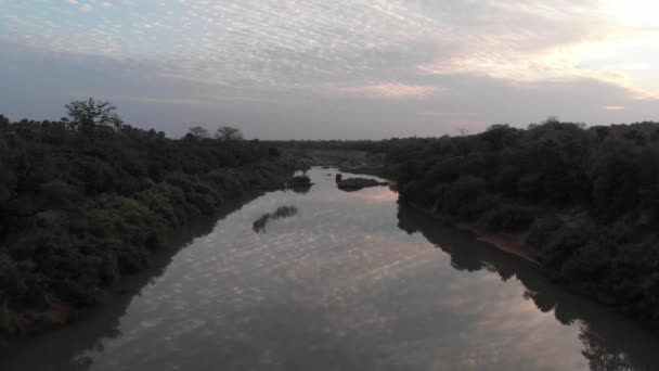 Luftaufnahme Des Gambia Flusses Bei Wassadou Senegal — Stockvideo