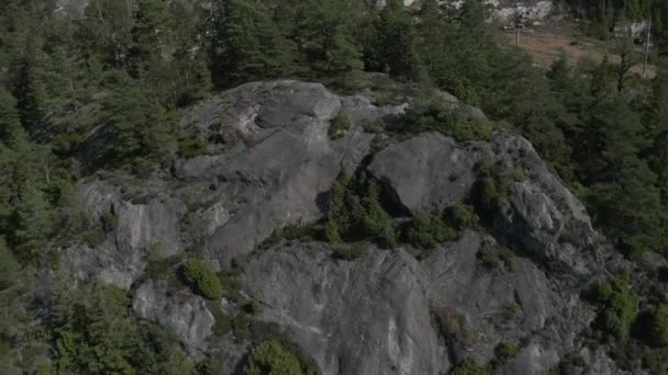 Vue aérienne de la belle nature de l'ouest de la Suède par une journée chaude et ensoleillée 