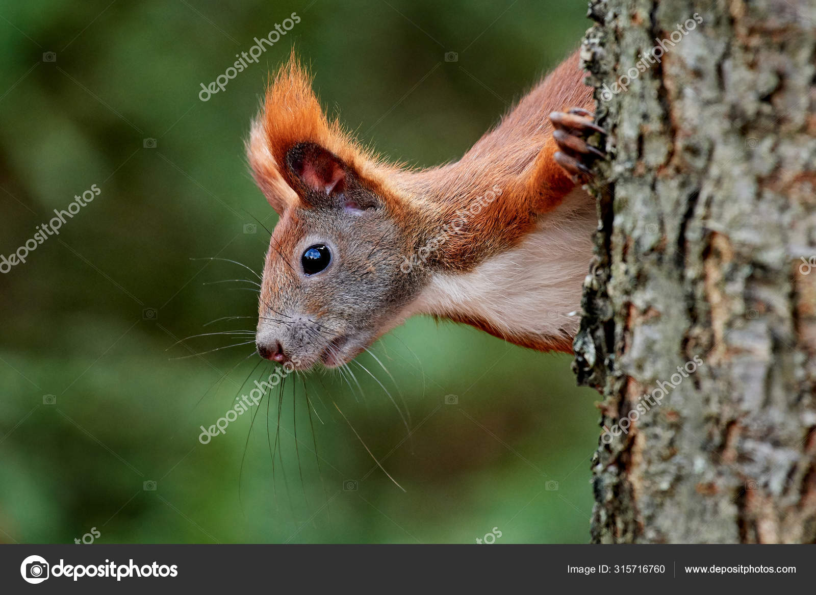 Eurasia visual data 3