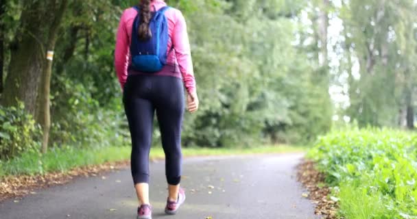 Młoda Kobieta Spacerować Lesie Szybki Spacer Dziewczyna Wygłosi Zdrowie Styl — Wideo stockowe