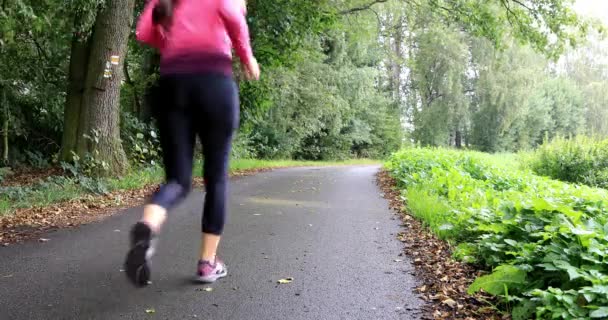 Ung Kvinna Sin Träning Skogen Hälsa Jogging Flickan Bekänner Hälsa — Stockvideo