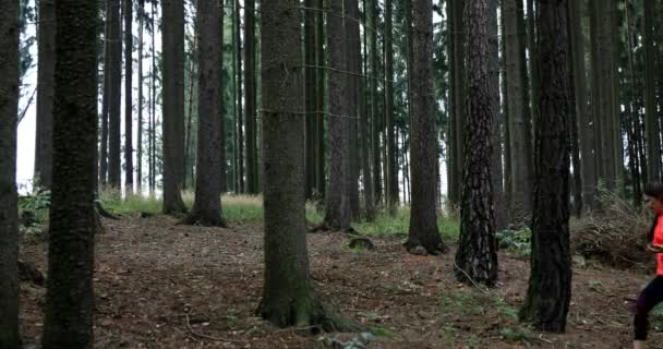 Junge Frau Bei Einem Waldspaziergang Schneller Gang Mädchen Bekennt Sich — Stockvideo