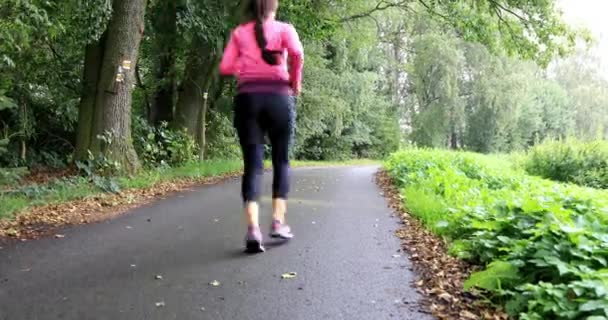 Junge Frau Während Ihrer Ausbildung Wald Gesundheitsjogging Mädchen Bekennt Sich — Stockvideo