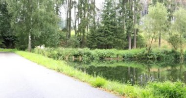 Ormanda yürüyüşe katılan genç kadın. Hızlı yürüyüş. Kız sağlık yaşam tarzı itiraf ediyor. Sığ Dof.