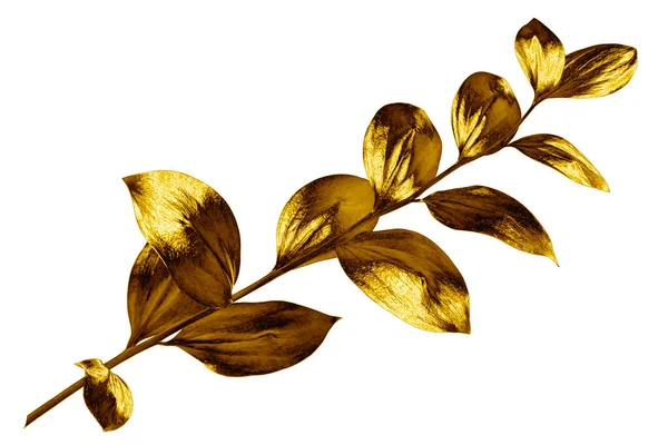 Gałąź Drzewa Złotymi Liśćmi Białym Tle Odizolowane Zbliżenie Dekoracyjny Złoty — Zdjęcie stockowe