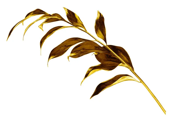 Beyaz arka planda altın yapraklı ağaç dalları, dekoratif altın rengi bitki filizi, sarı parlak metal dal, yeşillik çizimi, çiçek tasarımı unsuru, bitkisel sembol, botanik işareti