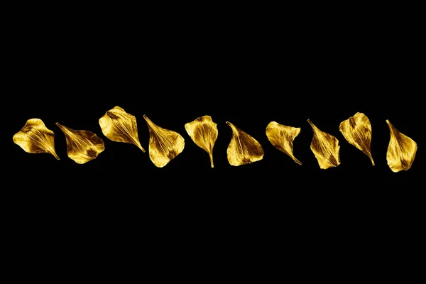Goldene Blütenblätter Isoliert Nahaufnahme Schwarzer Hintergrund Gold Metall Blumenrand Laubschmuck — Stockfoto