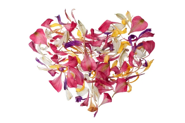 Цветочные Лепестки Форме Сердца Белом Фоне Изолированы Крупным Планом Сердце — стоковое фото