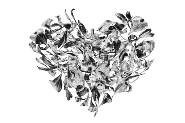 白の背景に花の花びらで作られた銀の心を閉じ 装飾的な灰色の光沢のある金属のハートの形の装飾 芸術の花の葉のパターン 灰色の金属の葉のデザイン要素 愛のサイン — ストック写真