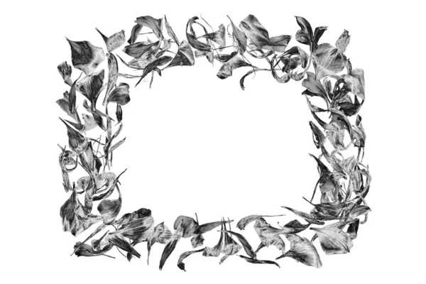 Ασημί Κορνίζα Από Πέταλα Λουλουδιών Απομονωμένη Από Κοντά Λευκό Φόντο — Φωτογραφία Αρχείου