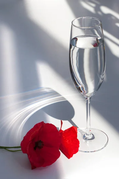 Piros Mákvirág Fehér Asztal Háttér Kontraszt Napfény Árnyékok Borospohár Vízzel — Stock Fotó