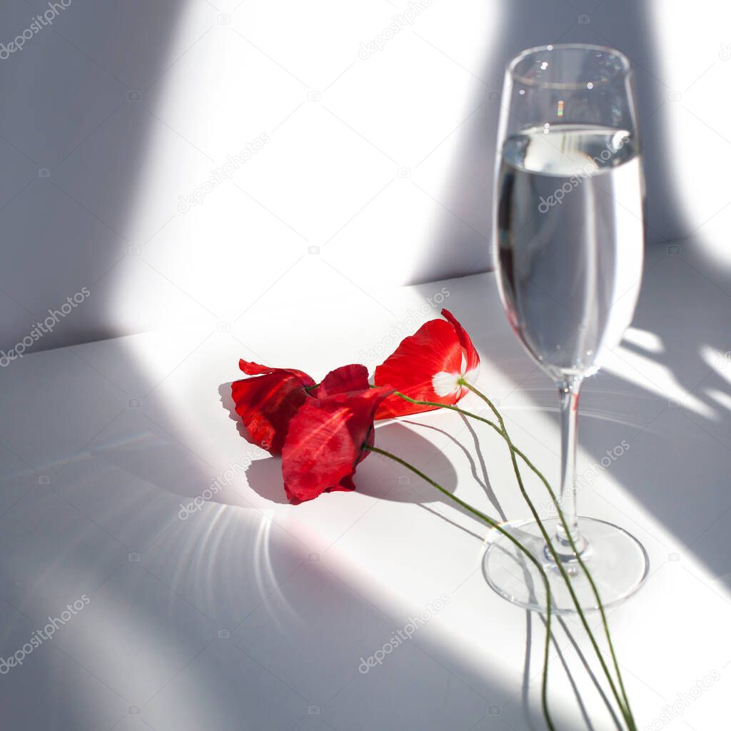 Three poppy flowers on white table with contrast sun light and shadows and wine glass with water closeup 