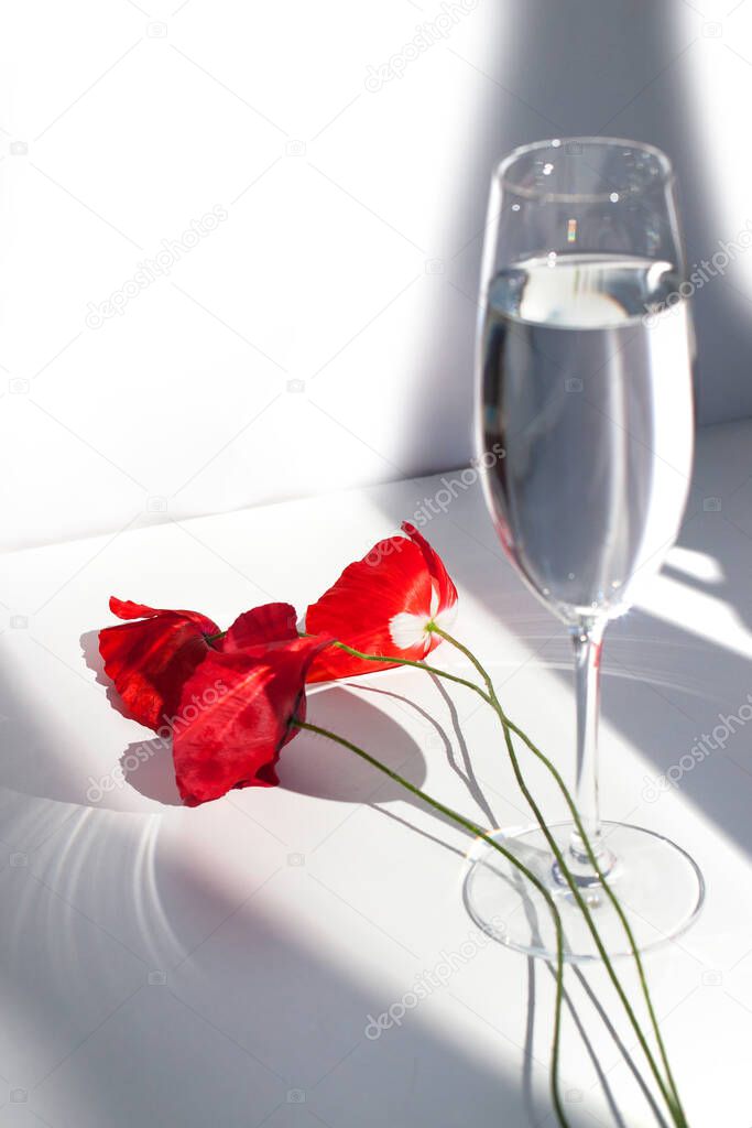 Three poppy flowers on white table with contrast sun light and shadows and wine glass with water closeup 