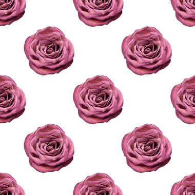 Beyaz zemin üzerinde pürüzsüz pembe gül deseni kapalı, kırmızı güller tekrarlayan süs, kırmızı çiçekler moda baskı tasarımı, mor çiçek arkaplanı, romantik eski duvar kağıdı
