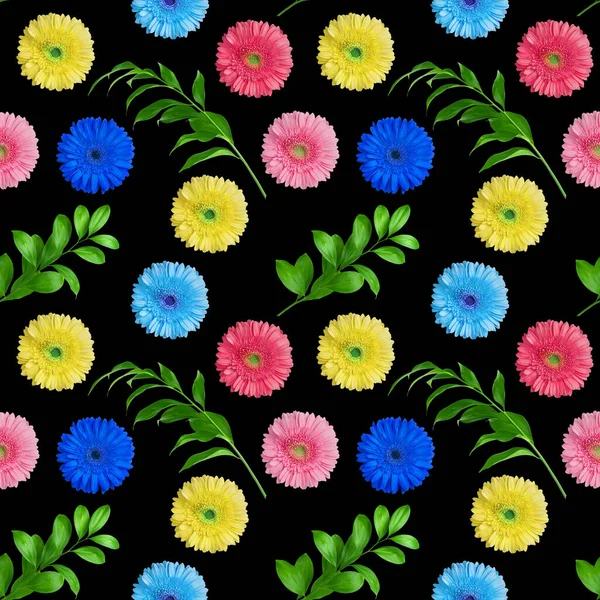 Seamless Pattern Colorful Gerbera Flowers Green Leaves Black Background Isolated — Stock Photo, Image