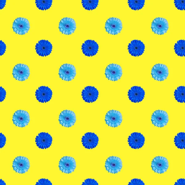 Bezešvé Vzor Tmavě Modré Světle Modré Gerber Květy Žlutém Pozadí — Stock fotografie