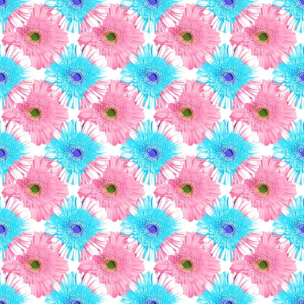 白の背景にシームレスなパターン青とピンクのガーベラの花 夏のデイジーの花の装飾 抽象的なガーバーの花の質感 アート壁紙のデザイン 鮮やかな装飾的な背景 活気のあるトレンディーなプリント — ストック写真