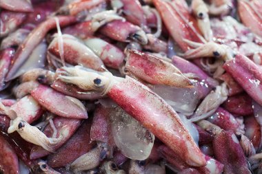 Birçok taze çiğ kalamar, deniz ürünleri pazarında bir yığın kırmızı ve beyaz kalamar, buzlu kalamarlar, mürekkep balığı arka planı, tropikal deniz ürünleri sağlıklı yiyecekler, deniz veya okyanus hayvanları