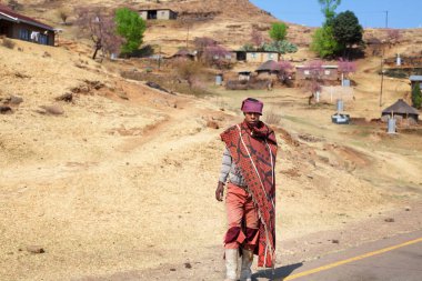 Semonkong, Lesotho - 20 Eylül 2017: Ulusal kırmızı yün battaniyeli genç Afrikalı çoban adam elbise ve kar maskesi geleneksel köy kırsal yüksek dağ yolunda, çiçek açan pembe ağaçlar arka planı