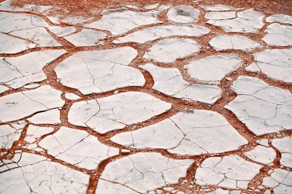 Cracked white dry clay surface on orange sand background in Etosha salt pan Namib desert top view close up, cracks on ground in desert, drought weather concept, dry hot climate design, arid soil land