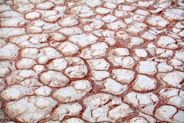 Cracked white dry clay surface on orange sand background in Etosha salt pan Namib desert top view close up, cracks on ground in desert, drought weather concept, dry hot climate design, arid soil lands