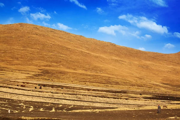 Schöne Hochlandtallandschaft Drakensberger Berge Hirten Und Tiere Auf Der Weide — Stockfoto