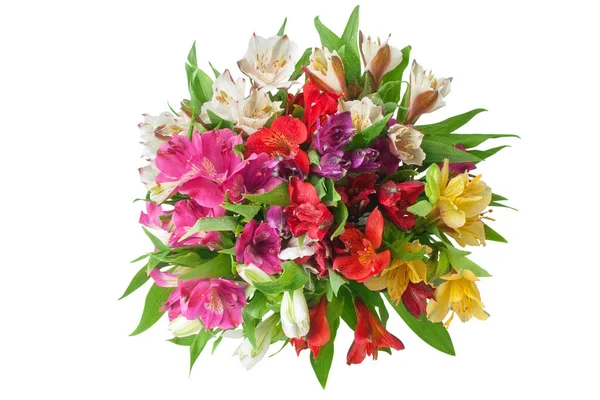 Multicolored Alstroemeria Flowers Bouquet White Background Isolated Closeup Lily Flower — Stock Photo, Image