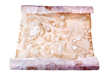 Beyaz zemin üzerinde eski kahverengi kağıt rulo yakın izole, parşömen antik belge tasarımı, kopyalama alanı, tarihi antik harf çerçeve şablonu, boş eski kağıt sayfası, ortaçağ el yazması konsepti