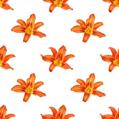 Kusursuz desenli turuncu zambak çiçeği beyaz arka plan izole, kırmızı & sarı yapraklar tekrar eden süs, renkli zambak deseni, zambak deseni, modern zambak duvar kağıdı, gündelik zambak arkaplan