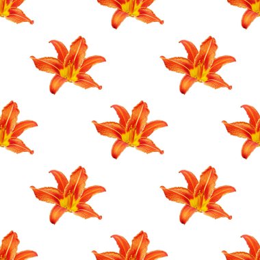 Kusursuz desenli turuncu zambak çiçeği beyaz arka plan izole, kırmızı & sarı yapraklar tekrar eden süs, renkli zambak deseni, zambak deseni, modern zambak duvar kağıdı, gündelik zambak arkaplan