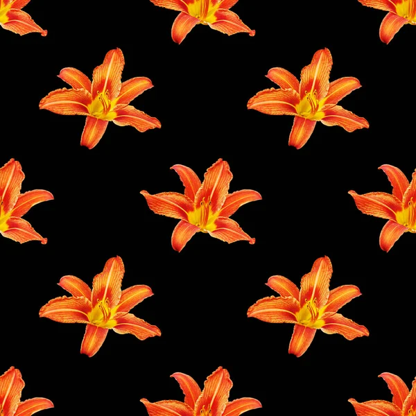 Seamless pattern orange lily flower black background isolated, red & yellow petals lilly repeating ornament, colorful daylily texture, lilies floral print, modern lillies wallpaper, day lily backdrop