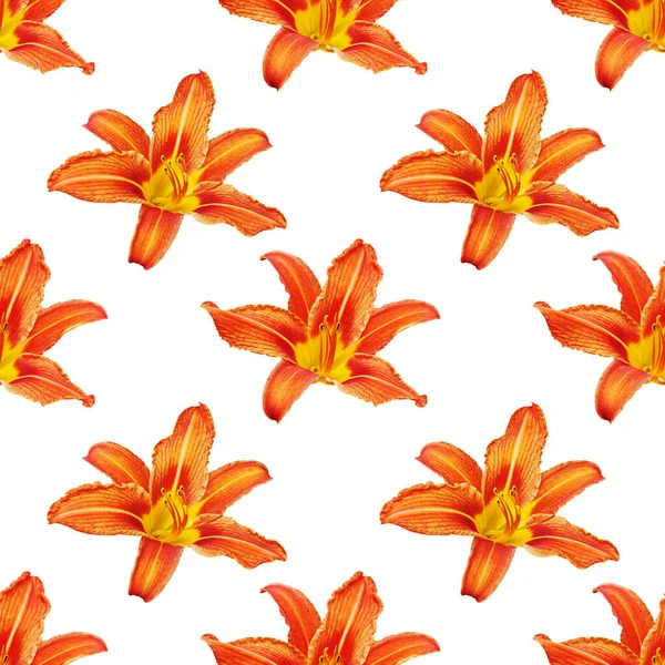 シームレスなパターンオレンジ色のユリの花の白い背景は 赤と黄色の花びらユリの繰り返しの装飾 カラフルなユリのテクスチャ ユリの花のプリント 現代のユリの壁紙 日ユリの背景を隔離しました — ストック写真