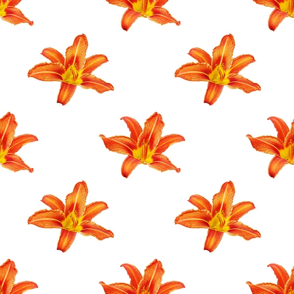 Seamless pattern orange lily flower white background isolated, red & yellow petals lilly repeating ornament, colorful daylily texture, lilies floral print, modern lillies wallpaper, day lily backdrop