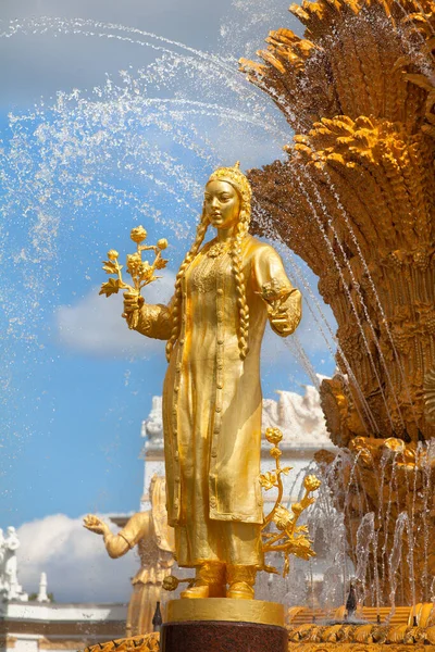 Fragment Fountain Friendship Nations Peoples Ussr Exhibition Achievements National Economy — Stock Photo, Image