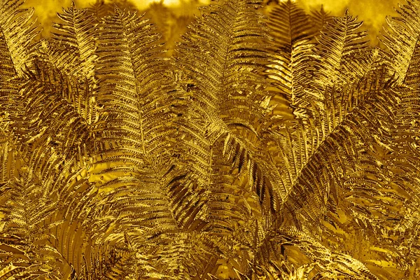 Abstrakte Goldene Farnblätter Hintergrund Nahaufnahme Fantastische Goldfarbene Bracken Laub Textur — Stockfoto