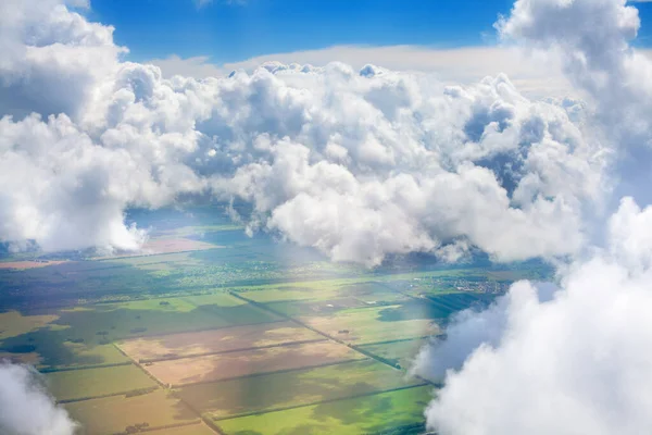 Зеленые Травяные Поля Леса Голубое Небо Белые Кучевые Пушистые Облака — стоковое фото