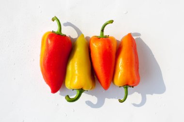 Biberler kırmızı yeşil turuncu, su damlaları beyaz arka plan görünümünde.