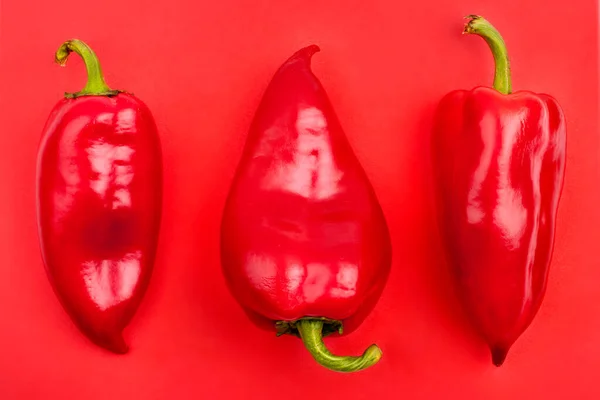 Tres Pimientos Rojos Enteros Sobre Fondo Rojo Brillante —  Fotos de Stock