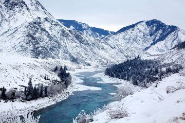 Kış, nefes kesici dağ manzarası, dağ yamaçları arasında akan turkuaz nehir, beyaz kar, nehir kıyısında ladin ormanı ve dağ zirveleri, Rusya, Altai