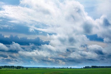 Yeşil tarlanın üzerindeki mavi gökyüzünde büyük beyaz bulutlar.