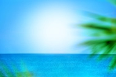 Soyut bulanık arkaplan, mavi deniz ve gökyüzü, güneş ışığı, yeşil palmiye dalları, seyahat afişi tasarım konsepti, egzotik tatil afişi, yaz tatili, tropikal plajda dinlenme, fotokopi alanı