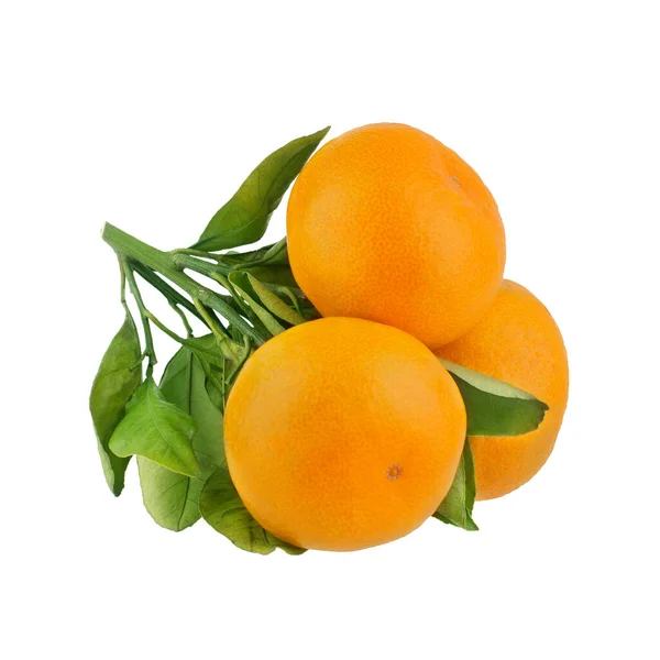 Mandarins Tangerines Branch Green Leaves White Background Isolated Close — Stock Photo, Image