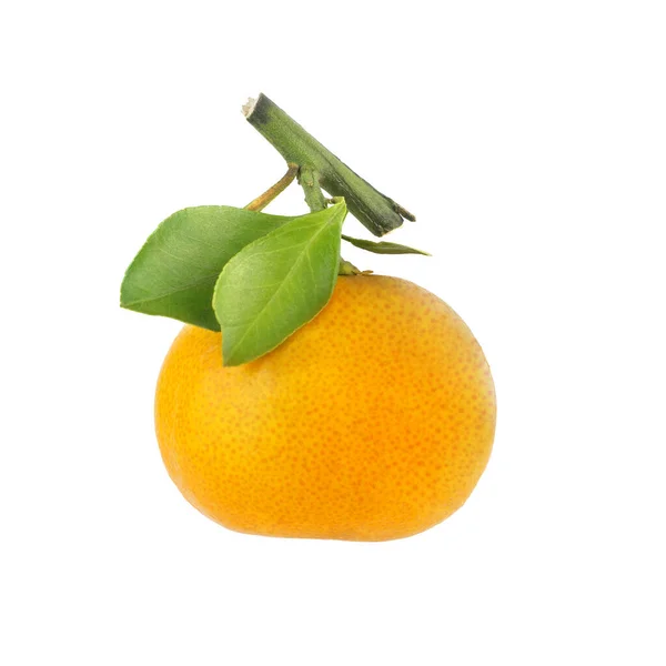 Mandarinky Nebo Mandarinky Větvi Zelenými Listy Bílém Pozadí Izolované Zblízka — Stock fotografie