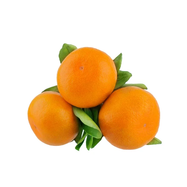 Mandarins Tangerines Branch Green Leaves White Background Isolated Close — Stock Photo, Image