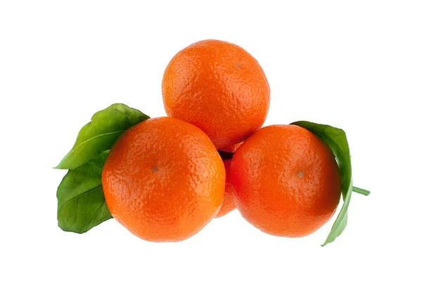 Tangerines Mandarins Branch Green Leaves White Background Isolated Close — Stock Photo, Image