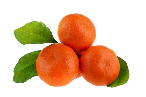 Tangerines Mandarins Branch Green Leaves White Background Isolated Close — Stock Photo, Image