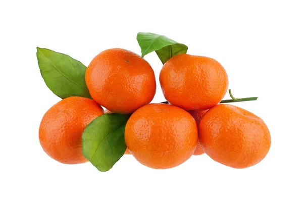 Tangerines Mandarins Branch Green Leaves White Background Isolated Close — Stock Photo, Image