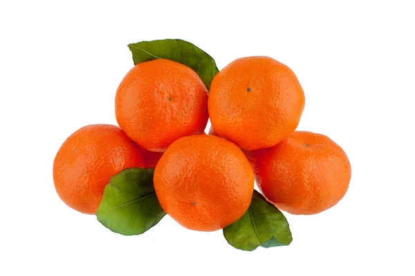 Tangerine Vagy Mandarin Egy Ágon Zöld Levelek Fehér Alapon Elszigetelt — Stock Fotó