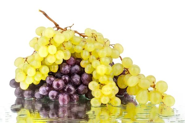 Trauben Schwarzer Roter Und Weißer Trauben Auf Weißem Spiegelgrund Wassertropfen — Stockfoto