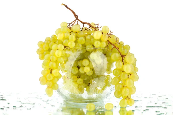 Uvas Brancas Vaso Vidro Fundo Espelho Branco Com Gotas Água — Fotografia de Stock